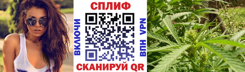 гидра   Агрыз  Конопля White Widow  купить закладку 
